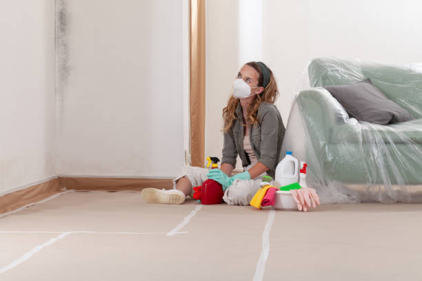 Reliable Mold Remediation contractor in Burnham, IL by WQB Mold Removal